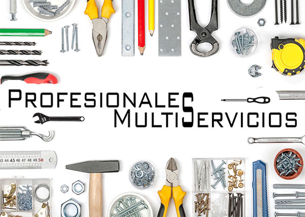 Profesionales Multiservicios