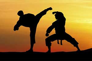 Artículos para Artes Marciales